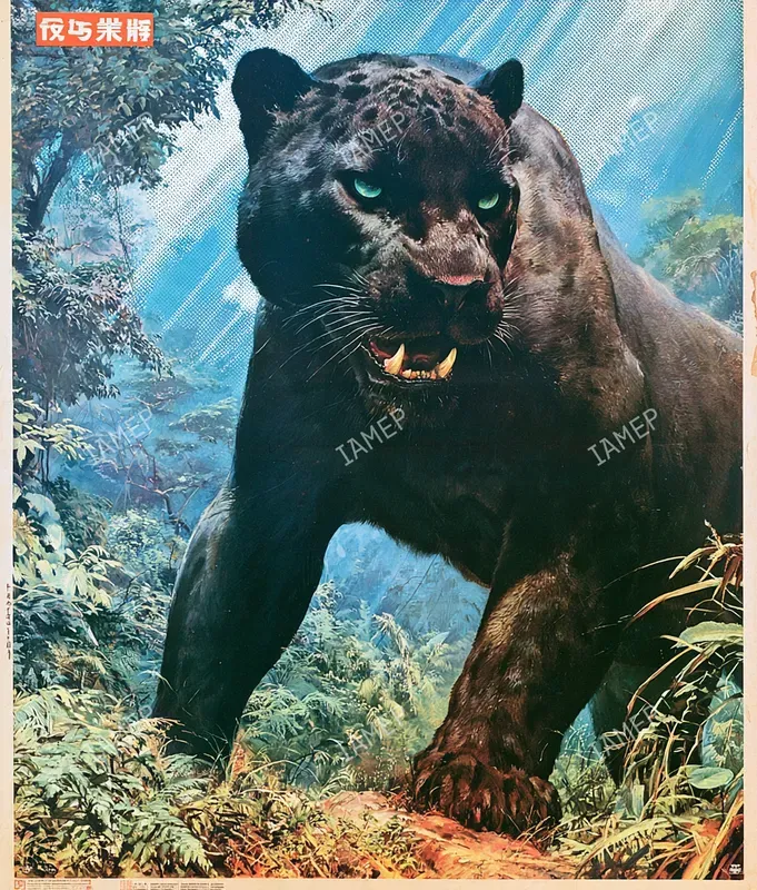 Vintage Japanese Wildlife Posters