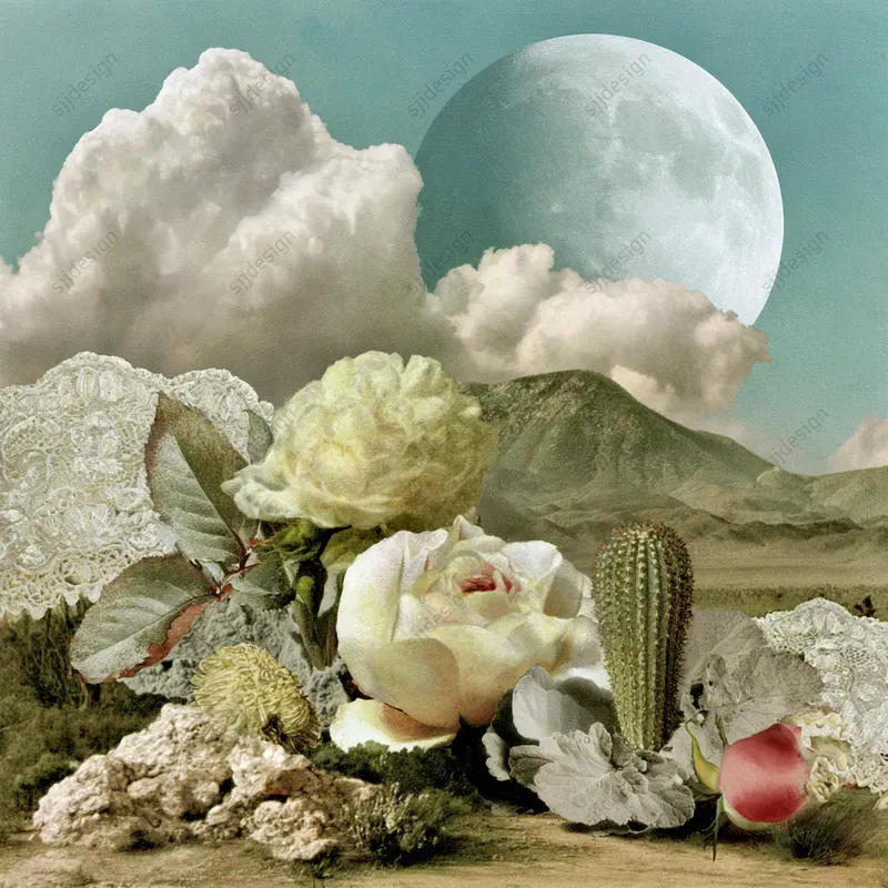 Moonlit Lace Cutout Collage Art
