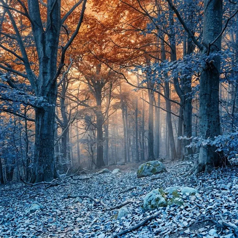 Color Swapped Nature Art