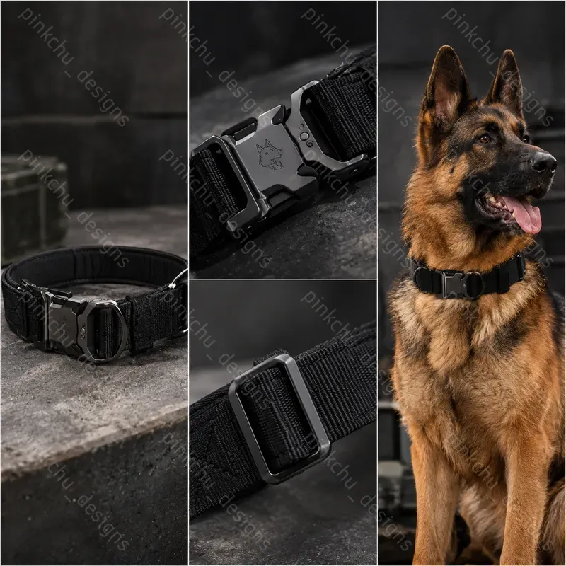 Dog Belt 360 Showcases