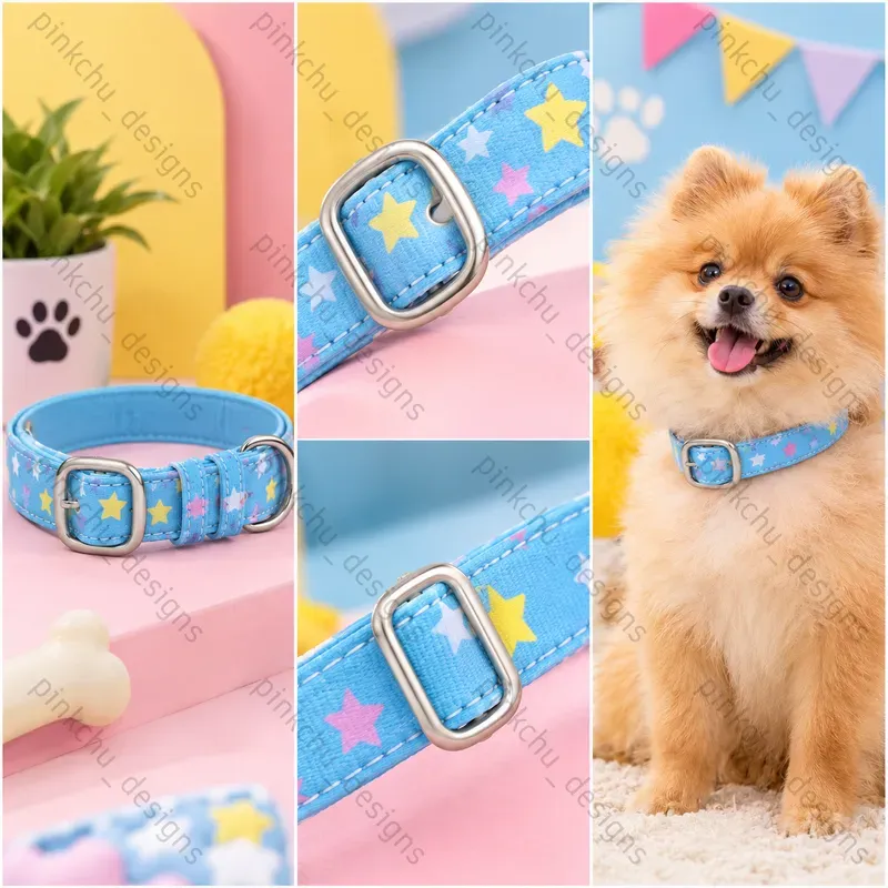 Dog Belt 360 Showcases