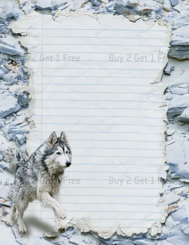 Galaxy Friends And Pet Plain Papers