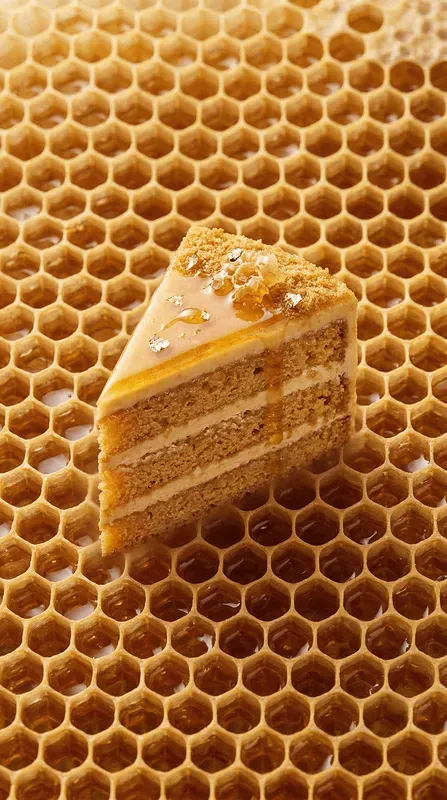 Pure Origin Minimalist Material Axioms