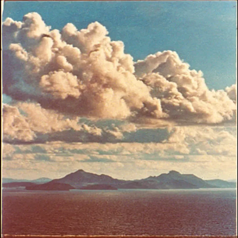Lo Fi Cinematic Vintage Analog Photos