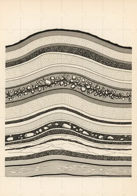 Museum Copperplate Engravings