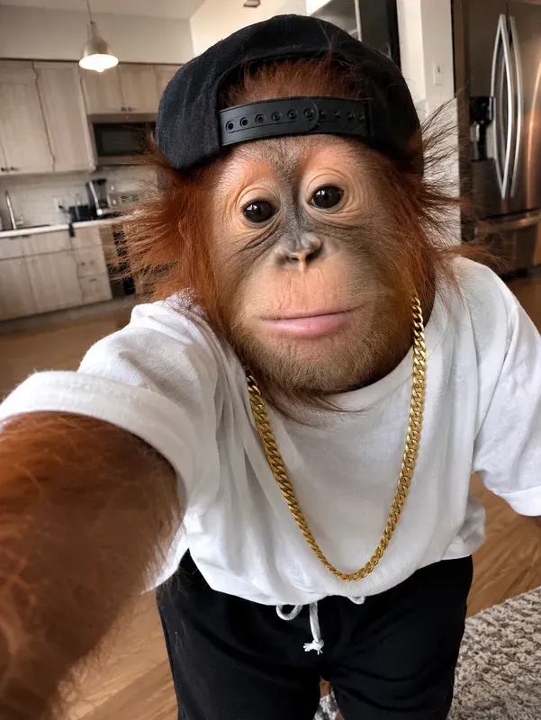 Animal Selfies