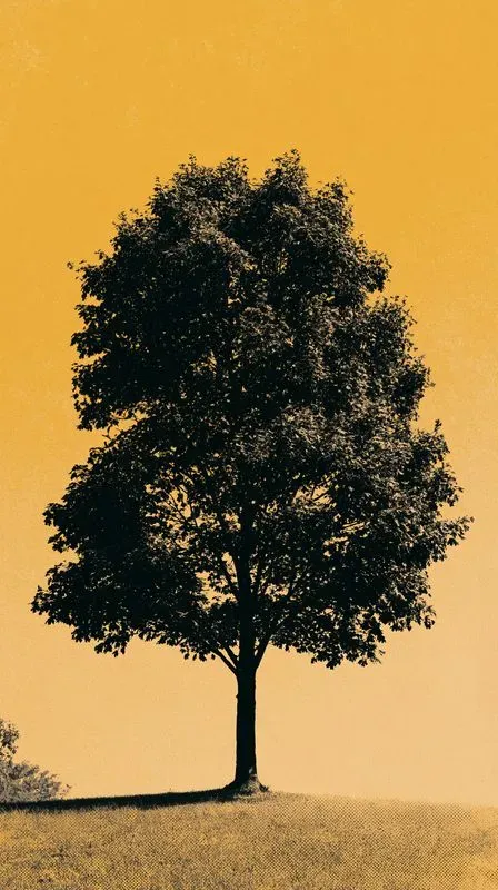 Fall Autumn Risograph Phone Wallpapers
