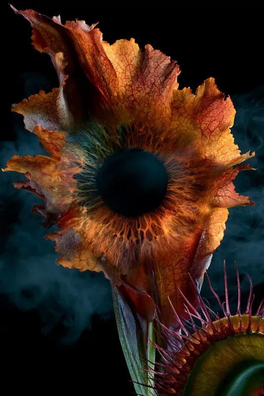Fantastic Carnivorous Plants Generator