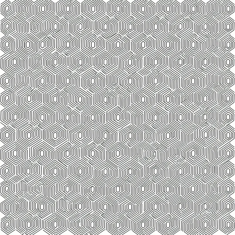 Digital Op Art Hypnotic Bw Geometries