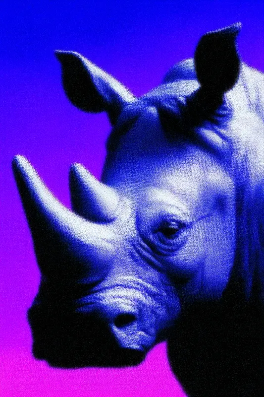 Purple Glow Animal Portraits