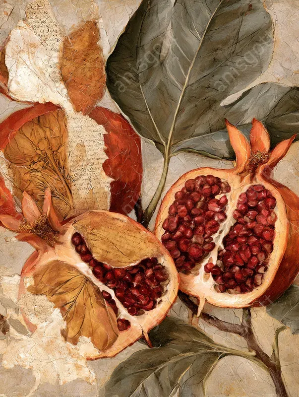 Mediterranean Fresco Botanical Collages