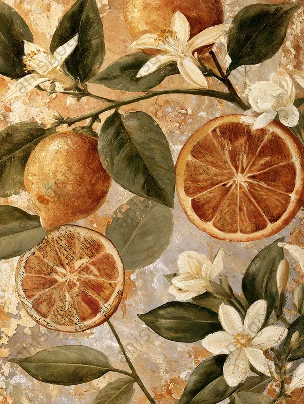 Mediterranean Fresco Botanical Collages