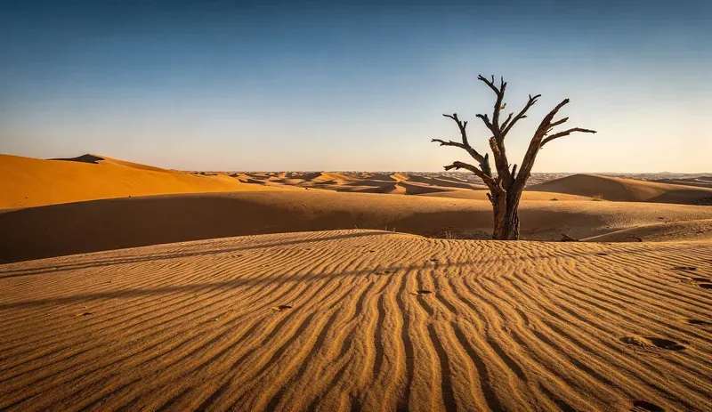 Ultrarealistic Daylight Landscapes