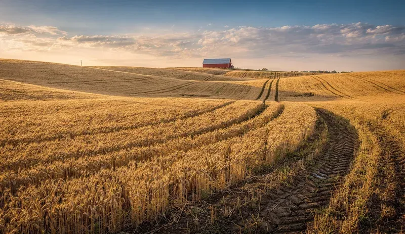 Ultrarealistic Daylight Landscapes
