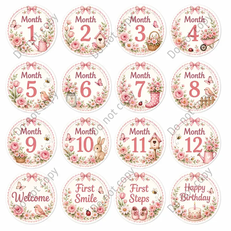 Baby Milestone Sticker Sets