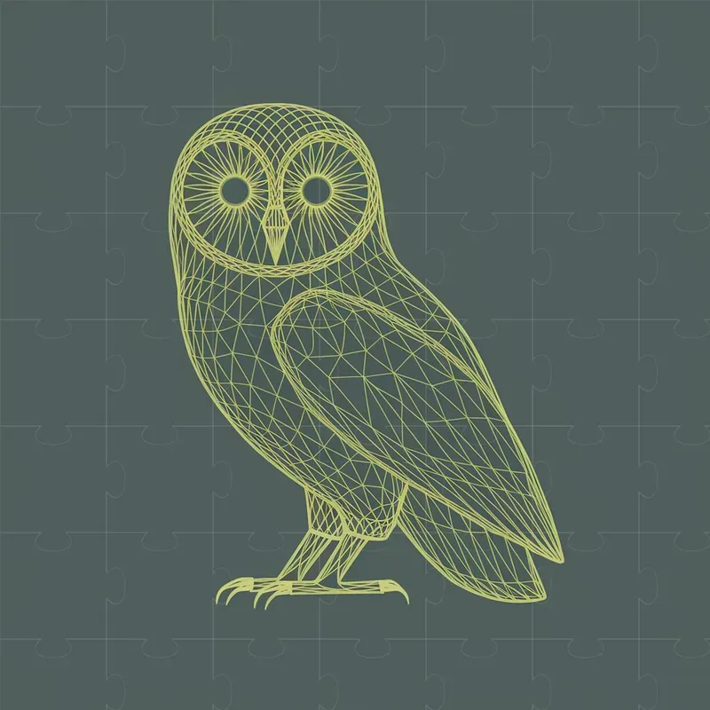 3D Mesh Line Art