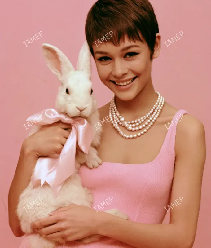 Pink Mod Fashion Editorials