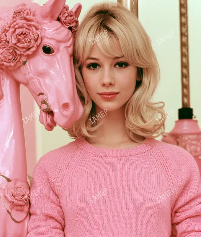 Pink Mod Fashion Editorials