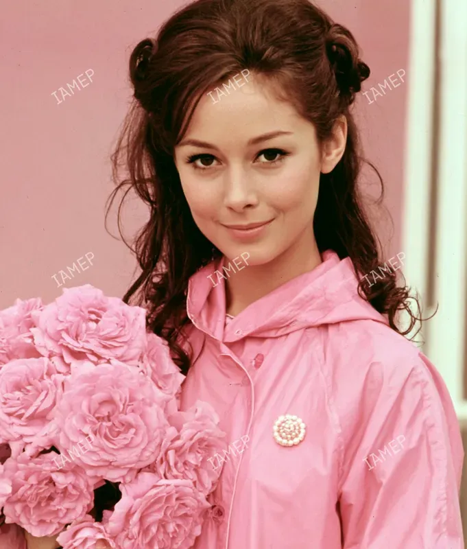 Pink Mod Fashion Editorials
