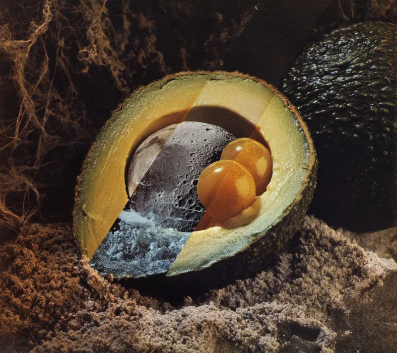 Cosmic Specimen Dissection Photos