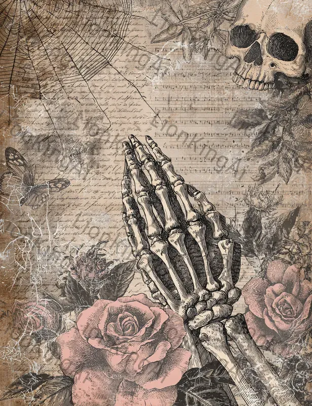 Gothic Rose Skull Illustrations