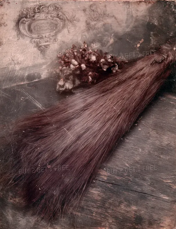 Haunted Apothecary Dark Gothic Pages