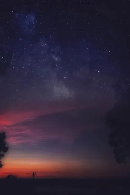 cynique profile banner