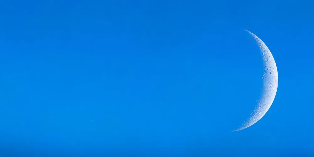 paradox profile banner