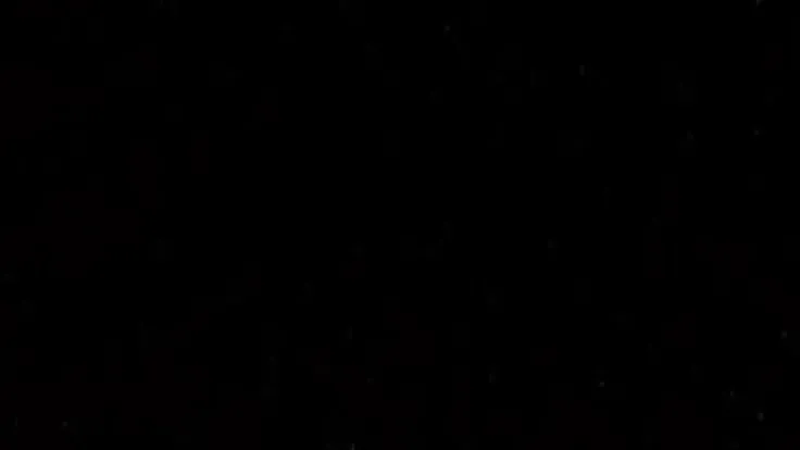 trevo4 profile banner