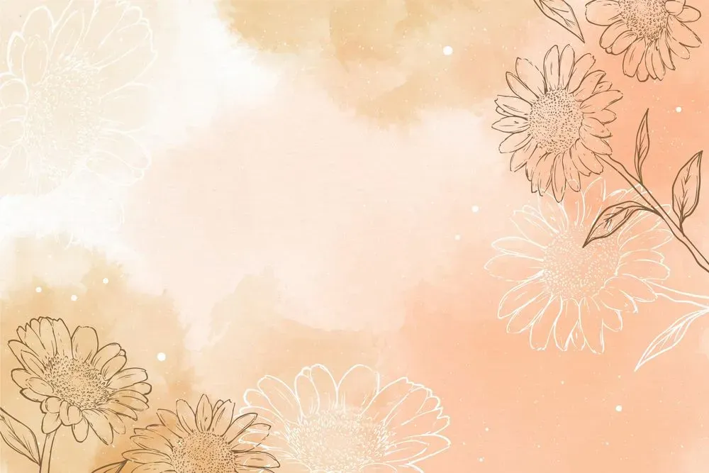 imaginieo profile banner