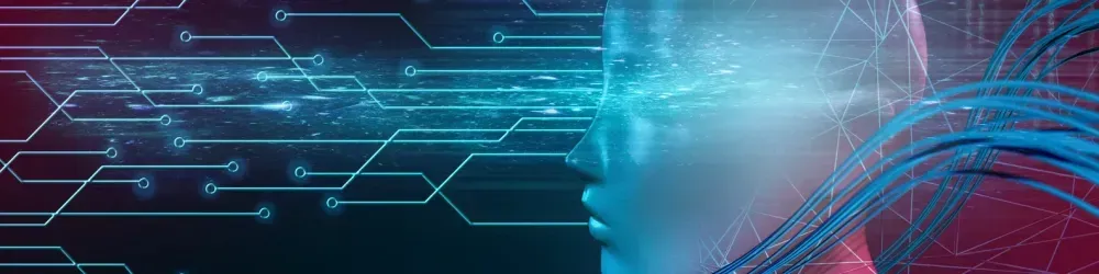 brninja profile banner