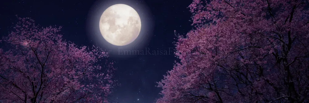 emmaraisafatali profile banner