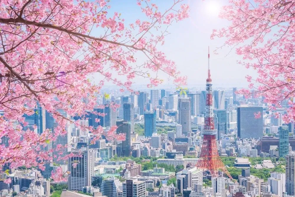 miyamotoyo profile banner