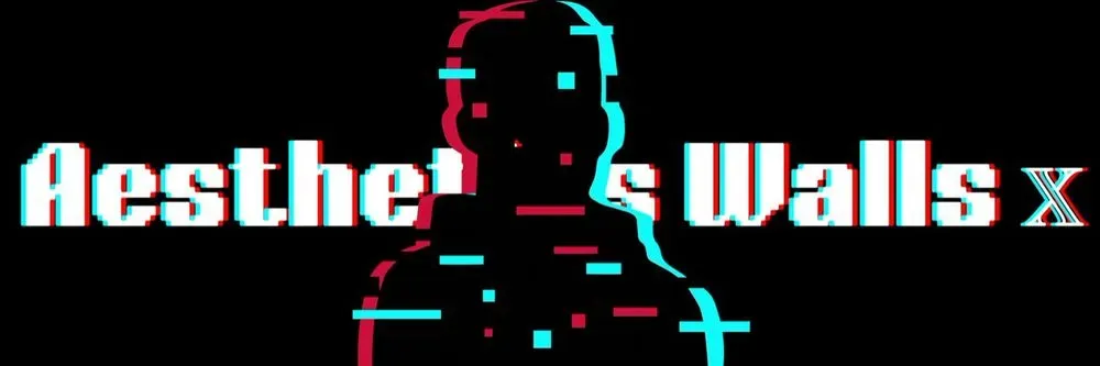 aestheticsguyz profile banner