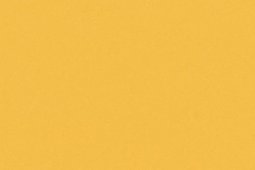 floppy profile banner