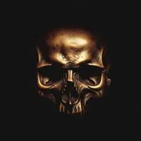 skullfact profile picture