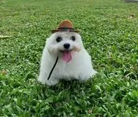 suvikun profile picture