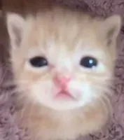 marly profile picture