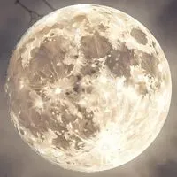 digitalsumo profile picture