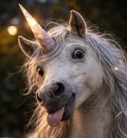 kungpowunicorn profile picture