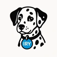 iryaiforge profile picture
