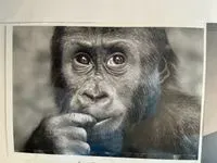 jamii profile picture