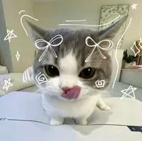 veomighty profile picture