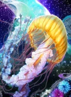 artofbliss profile picture