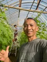 dewanto profile picture