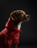 cindykate profile picture