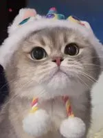 nurdonut profile picture