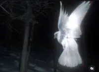 mundaneicejuice profile picture