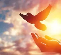 creatorcontentai profile picture