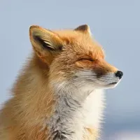 lowspechighbrand profile picture